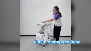 Unità odontoiatrica veterinaria portatile con compressore d'aria incorporato Scaler ad ultrasuoni Lampada polimerizzante a LED alta