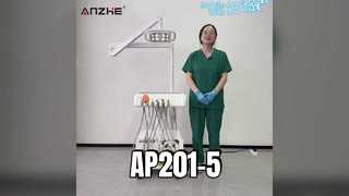 Stazione di trattamento odontoiatrico veterinario mobile versione Panda AP201-5 con 8 luci |-Introduzione al prodotto