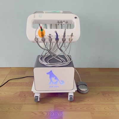 Utilizzare per animali domestici macchina di trattamento dentale portatile di design unico vet mobile carrello dentale