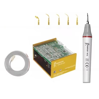 Picchio di legno N3 apparecchiatura di pulizia dei denti a LED Scaler dentale ad ultrasuoni con 6 punte