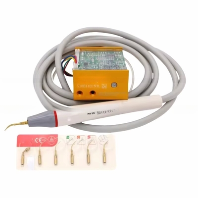 Picchio di legno N3 apparecchiatura di pulizia dei denti a LED Scaler dentale ad ultrasuoni con 6 punte