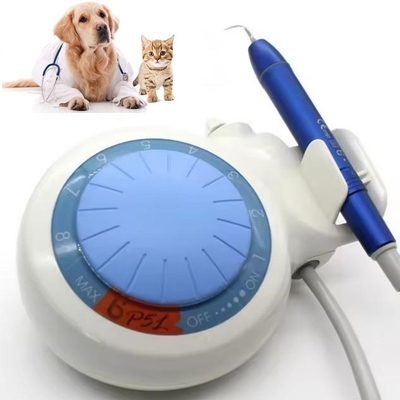 Dispositivo per la pulizia dei denti Dental Ultrasonic Dental Scaler LED Animali domestici Dental Ultrasonic Scaler