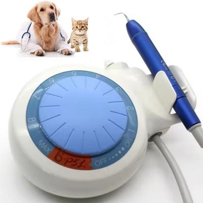 Un buon prezzo. Dispositivo per la pulizia dei denti Dental Ultrasonic Dental Scaler LED Animali domestici Dental Ultrasonic Scaler in linea