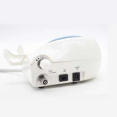 Dispositivo per la pulizia dei denti Dental Ultrasonic Dental Scaler LED Animali domestici Dental Ultrasonic Scaler