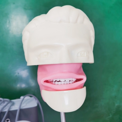 Scuola di Odontoiatria Capo Fantasma Per Studenti Dentisti Modello di Studio Unità di Capo Fantasma Dentale