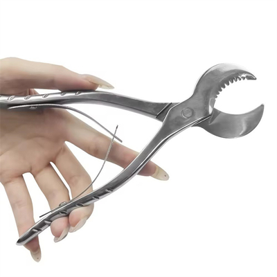 Forcipes dentali in acciaio inossidabile gesso gesso forbici pinze dentali con lama dentata