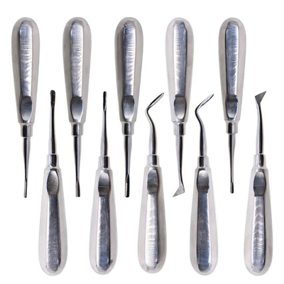 10pcs Kit ascensore dentale Dentista Strumenti chirurgici Acciaio inossidabile ascensore radicale dentale