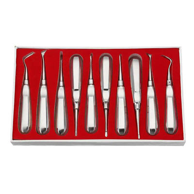 10pcs Kit ascensore dentale Dentista Strumenti chirurgici Acciaio inossidabile ascensore radicale dentale