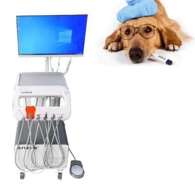 Unità di trattamento dentale chirurgica veterinaria con computer e compressore d'aria integrato