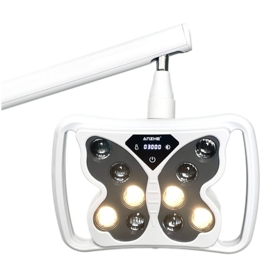 Lampada di sbiancamento dei denti a forma di farfalla Salone di bellezza Clinica dentale Utilizza 3 modelli Dental Sbiancamento dei denti macchina