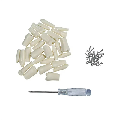 32pcs / Set dentale Typodont Rimpiazzo denti Dental Studente pratiche Strumenti Durezza Resina denti