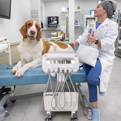 Fabbrica di attrezzature veterinarie di Foshan Unità mobile di consegna dentale