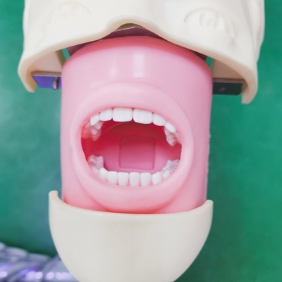 Modello di simulazione di formazione dentale testa carrello montato testa fantasma dentale con denti per l'istruzione e per la pratica