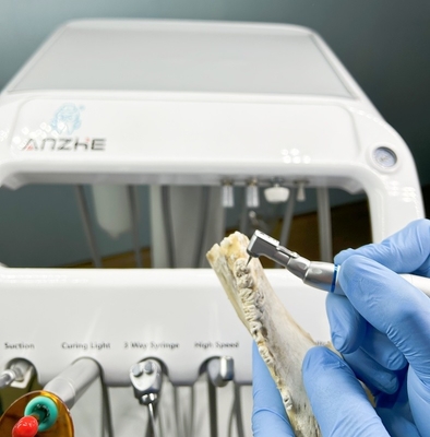 Apparecchiatura per terapia dentale per animali domestici Dental Factory con compressore d'aria 220V Standard UE Unità dentale veterinaria portatile