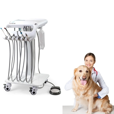 Unità mobile per il trattamento dentale degli animali della clinica veterinaria, attrezzatura veterinaria, unità di erogazione dentale, carrello dentale per animali domestici