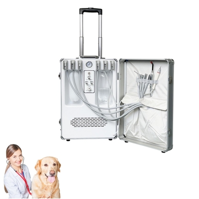Apparecchiature dentistiche veterinarie portatili Animali domestici Trattamento dentale Valigia Cura dentale animale Veterinaria Unità mobile di trattamento dentale