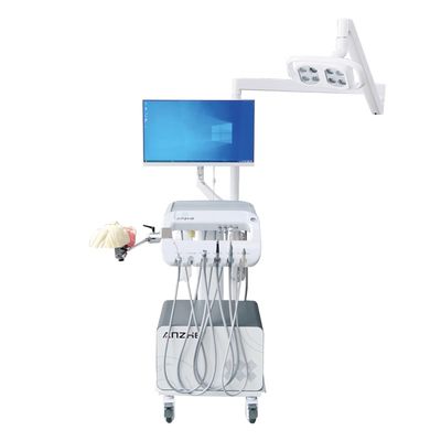 Soluzione di formazione per studenti di odontoiatria Attrezzature per scuole di odontoiatria Manichino dentale Simulatore dentale per la formazione