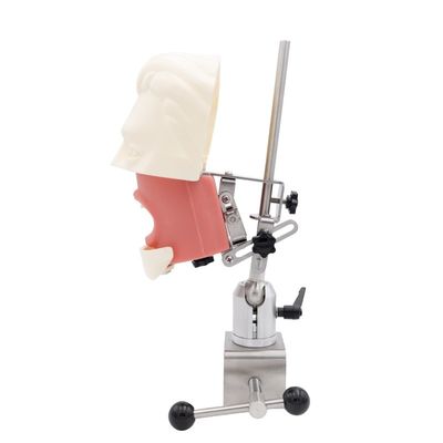 Unità didattica per simulatore dentale Sistema di pratica di simulazione per la scuola odontoiatrica Testa fantasma per impianti dentali