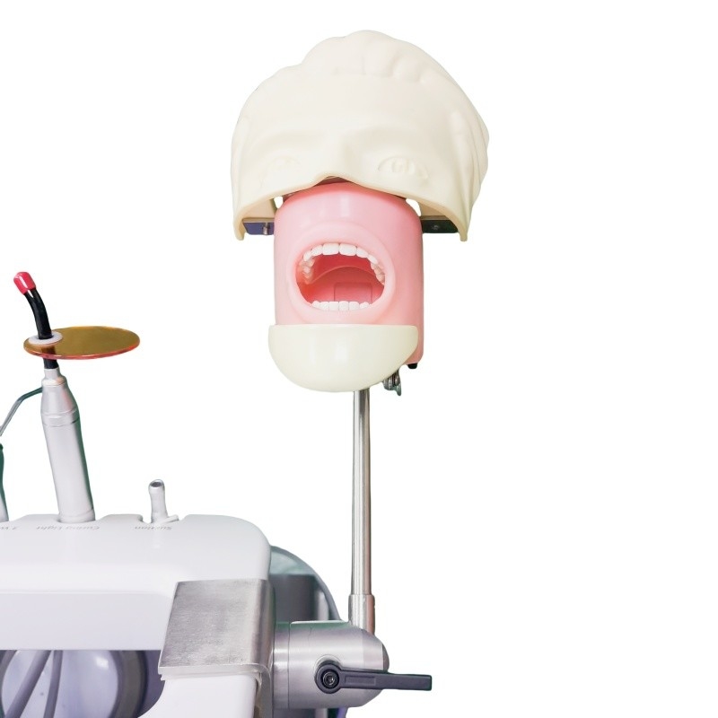 Scuola di Odontoiatria Capo Fantasma Per Studenti Dentisti Modello di Studio Unità di Capo Fantasma Dentale