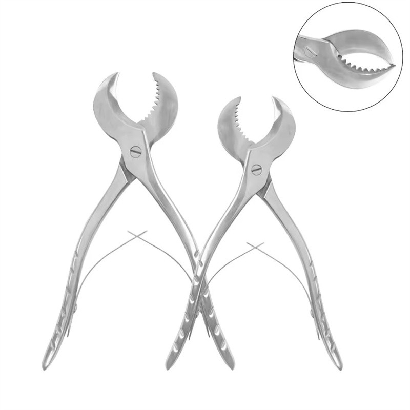 Forcipes dentali in acciaio inossidabile gesso gesso forbici pinze dentali con lama dentata