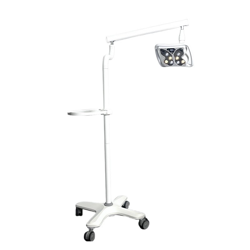 Lampada di sbiancamento dei denti a forma di farfalla Salone di bellezza Clinica dentale Utilizza 3 modelli Dental Sbiancamento dei denti macchina