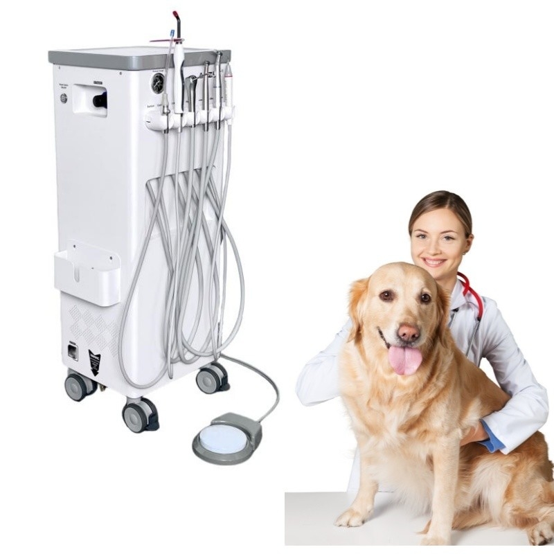 Macchina per il trattamento dei denti per animali domestici muoversi a volontà veterinario utilizzare unità di trattamento dentale per animali domestici con compressore