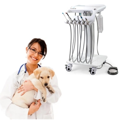 1 anno di garanzia Vet Dental Treatment Unit Disegno unico Mobile Dental Therapy Machine