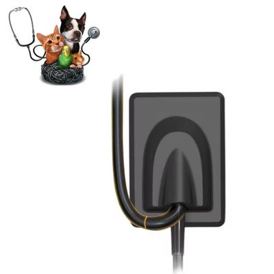 Un buon prezzo. Equipaggiamento dentale veterinario Sistema di imaging digitale a raggi X Denti da compagnia Sensore a raggi X RVG in linea