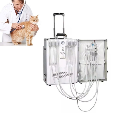 Trattamento dei denti degli animali Veterinario utilizza unità dentale portatile con set completo di strumenti