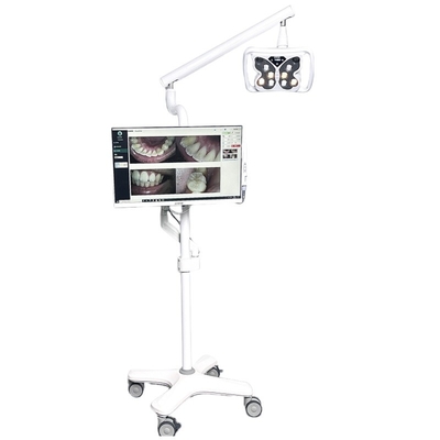 Macchina per sbiancare i denti da 12W per saloni 10 occhi 3 colori Zoom Macchina per sbiancare i denti con PC