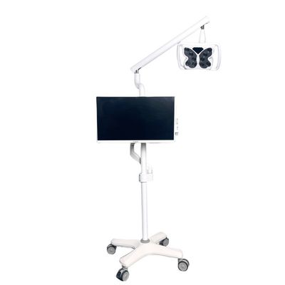 Un buon prezzo. 4 ruote universali sistema di sbiancamento dei denti a luce fredda apparecchiatura di sbiancamento dei denti a forma di farfalla in linea