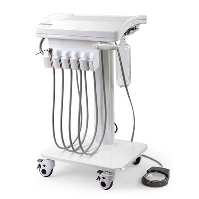 Un buon prezzo. Foshan Factory Direct Veterinary Dental System Mini Body Mobile Dental Unit Light Weight Pet Dental Operation Unit in linea