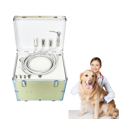 Silent Vet Usare Mobile Dental Treatment Unit Design Valigia Facile da portare Animali domestici Attrezzature di trattamento dentale Portable Dental Unit