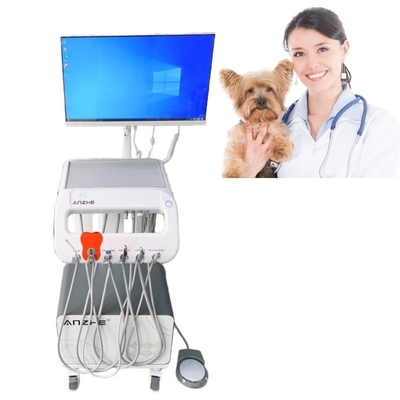 Tavolo di lavoro dentale mobile per attrezzature terapeutiche veterinarie