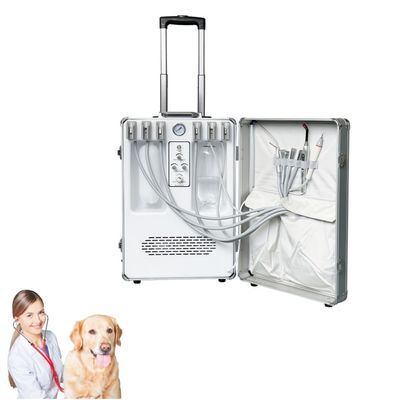 Apparecchiature dentistiche veterinarie portatili Animali domestici Trattamento dentale Valigia Cura dentale animale Veterinaria Unità mobile di trattamento dentale