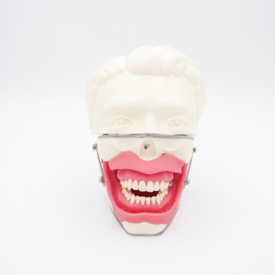 Oral Anesthesia Training Model Realistic Gum Jaw Simulation for Injection Practice Dental Conduction Anesthesia Model