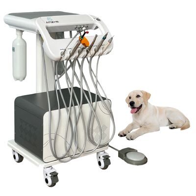 Un buon prezzo. Unità dentale veterinaria mobile Mini in offerta speciale con compressore d'aria Carrello dentale portatile per animali domestici per clinica ospedaliera per animali OEM Factory in linea
