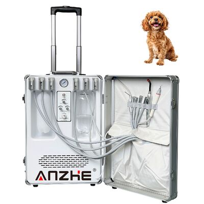Unità Portatile per Trattamenti Dentali per Animali Domestici con Potenza 550W e Pressione 0.8Mpa per Cure Dentali Veterinarie