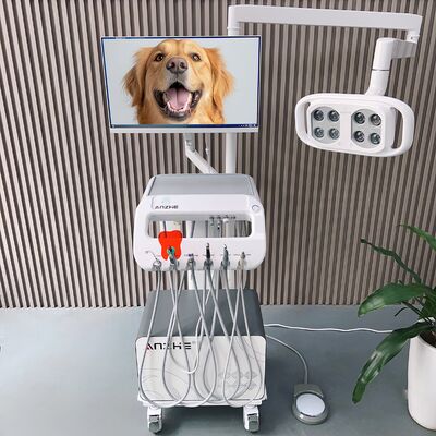 Macchina di trattamento dentale per animali domestici all-in-one Unità dentale veterinaria mobile con lampada a LED PC carrello dentale veterinario mobile per la cura orale del cane