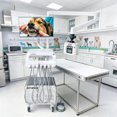 Un buon prezzo. Fabbrica Diretto Veterinario Animali domestici Dental Mobile Trolley con Unità a raggi X Portable Veterinario Dental Treatment Cart OEM Dental Trolley in linea