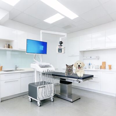 Un buon prezzo. Unità di terapia dentale portatile con carrello dentale mobile a raggi X e PC con sistema di aspirazione del compressore d'aria Unità di consegna dentale per uso clinico e di divulgazione in linea