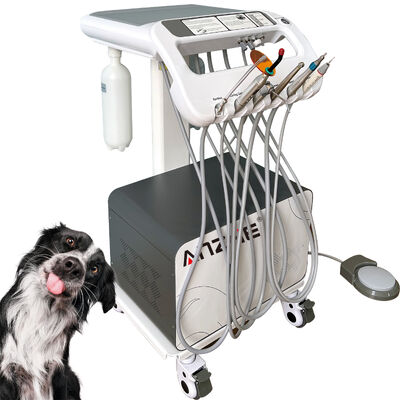 Un buon prezzo. Fabbrica Diretto Veterinario Animali domestici Dental Mobile Trolley con Unità a raggi X Portable Veterinario Dental Treatment Cart OEM Dental Trolley in linea