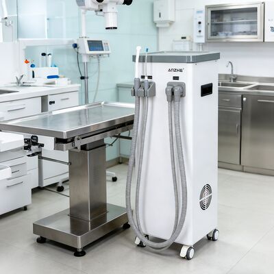 Un buon prezzo. Unità di aspirazione dentale ad alta potenza  Pompa di vuoto dentale efficiente per cliniche, ospedali e istituti di formazione in linea