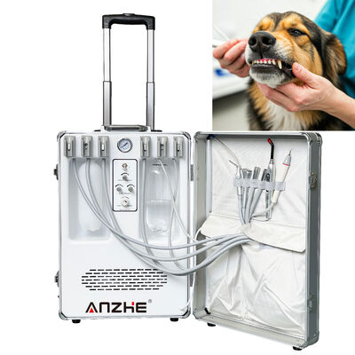 Un buon prezzo. Unità Portatile per Trattamenti Dentali per Animali Domestici con Potenza 550W e Pressione 0.8Mpa per Cure Dentali Veterinarie in linea