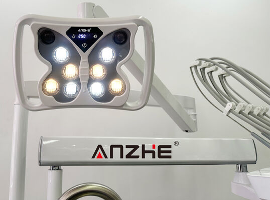 Un buon prezzo. Unità di trattamento dentale veterinario professionale con compressore d'aria silenzioso 32L e strumento a 5 portatori in acciaio inossidabile 304 in linea