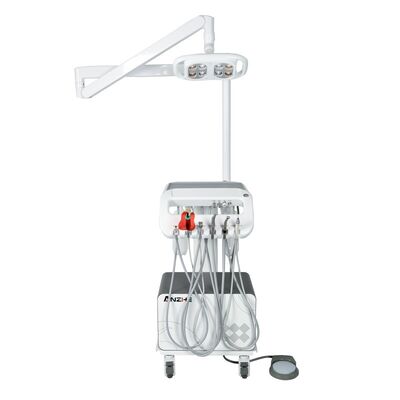 Un buon prezzo. Unità Dentale Veterinaria da 550W con Lampada Operatoria a LED e Compressore d'Aria Integrato per Carrello Dentale Mobile per Animali in linea