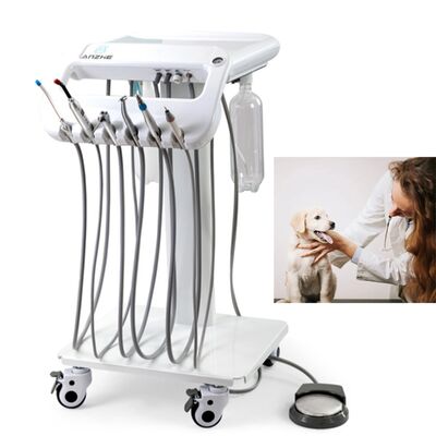 Un buon prezzo. Macchina dentale veterinaria portatile con serbatoio di aria inossidabile da 10L di potenza di 550W e livello di rumore di 38DB per la terapia dentale mobile in linea