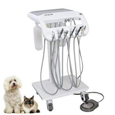 Un buon prezzo. Carrello Dentale Veterinario Portatile Diretto dalla Fabbrica per Cani e Gatti | Carrello Mobile per Trattamenti Dentali per Animali Domestici con Scaler a Ultrasuoni, Sistema di Aspirazione e Luce Polimerizzante a LED | Attrezzatura Dentale Veterinaria OEM/ODM in linea