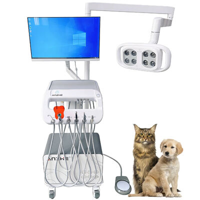 Un buon prezzo. Carrello Dentale Veterinario Portatile a Vendita Diretta dalla Fabbrica con Lampada LED, Compressore d'Aria e Sistema di Aspirazione per Cliniche Veterinarie e Studi Dentistici in linea