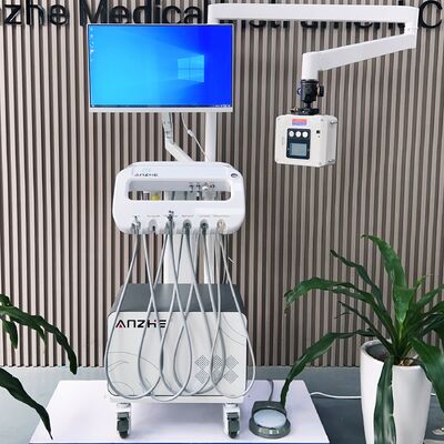 Un buon prezzo. Unità dentale veterinaria portatile con telecamera a raggi X 4K e compressore senza olio per il trattamento dentale degli animali domestici in linea